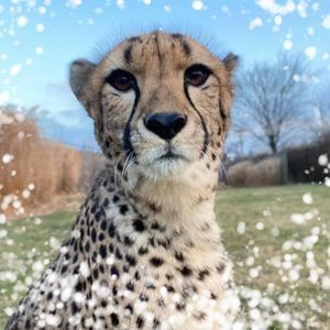 Meet your Posher, Nichole